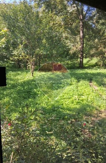 Casa de vanzare in Provita de Sus | Oportunitate de in... - 2