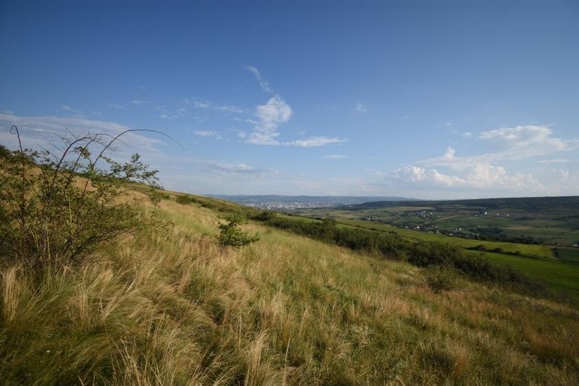 Teren agricol extravilan de 16800 mp, în Chinteni