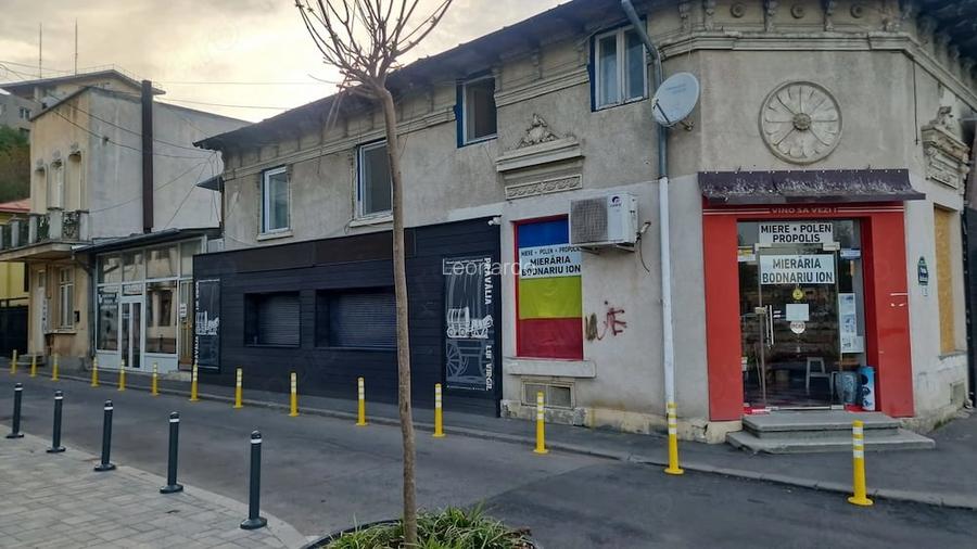 Casa de vanzare centru