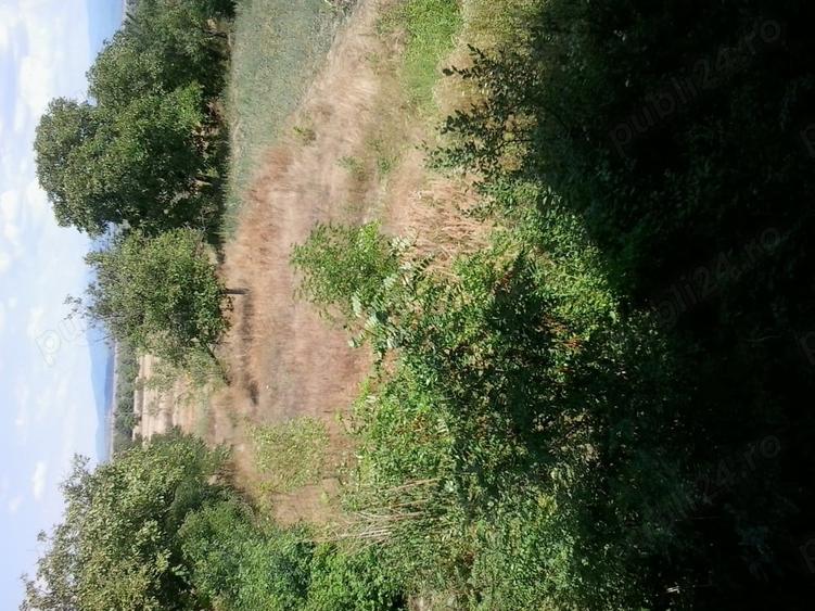 Casă cu 6 camere în Jupa