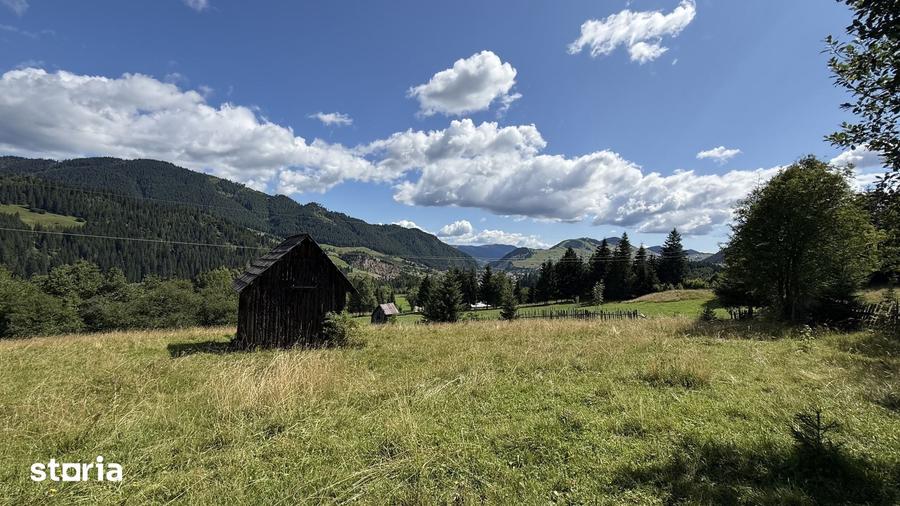 Teren intravilan 5620mp, acces public, panorama - 1