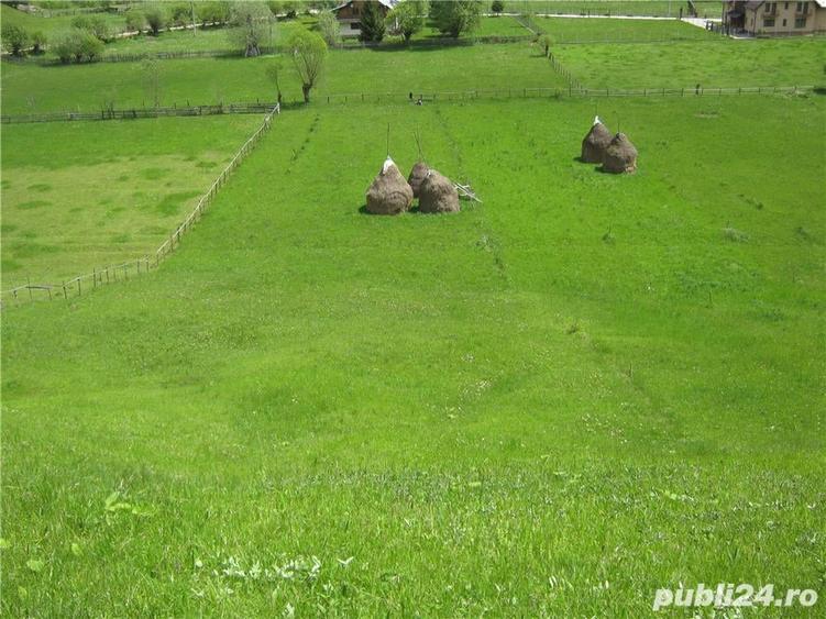 Teren de 2800 mp, în Dâmbovicioara