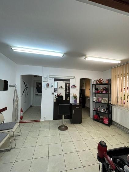 Spațiu comercial, de 50 mp, în Lotrioara
