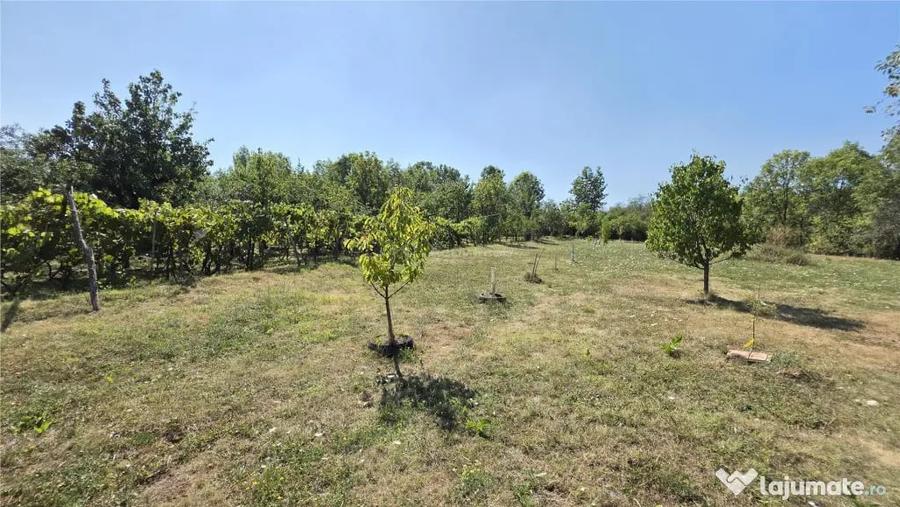 Casă cu 9 camere cu Teren 4400 Mp în Petrilova