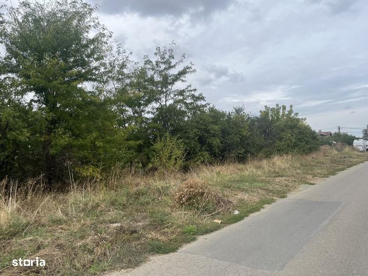Teren Intravilan 1000 mp Jilava -Str.Garii,Asfalt ,Toate Utilitatiele - 6