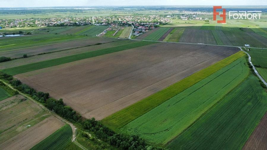 Teren Construcții intravilan de 40600 mp, în Bucovăț (Remetea Mare)
