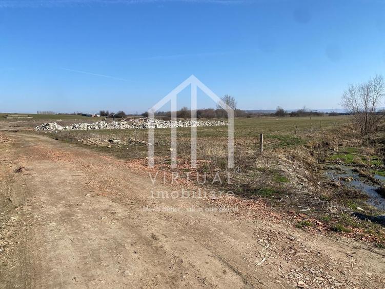 Teren agricol intravilan de 16310 mp, în Rusciori
