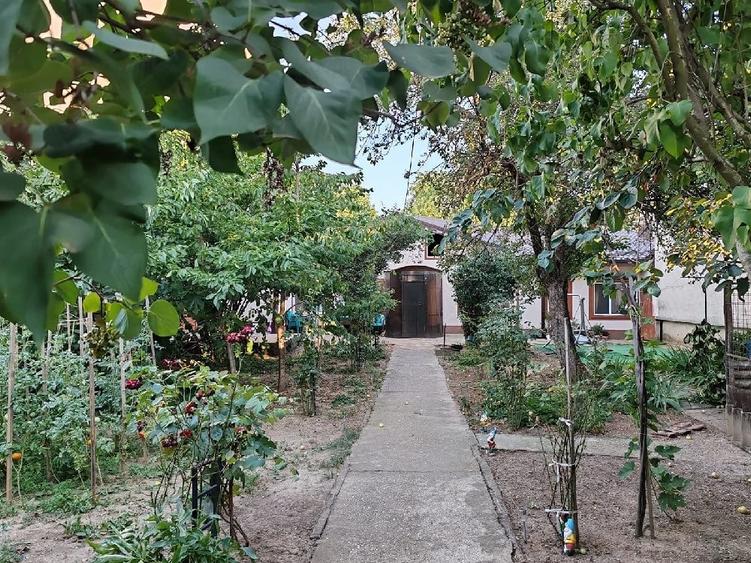 Casă cu 4 camere cu Teren 481 Mp în Bucureștii Noi