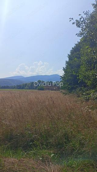 Vind teren extravilan Valea Sebe?ului, Fagara?