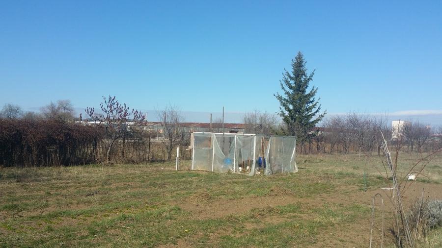 Teren Construcții intravilan de 900 mp, în Noua
