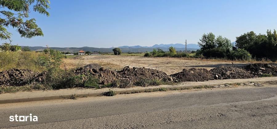 Teren de 6600 mp, în Hărăului