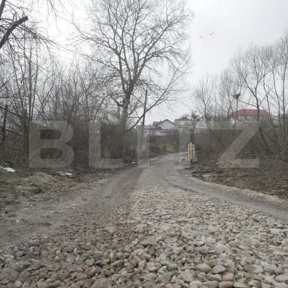 Teren Construcții intravilan de 3470 mp, în Ocnița