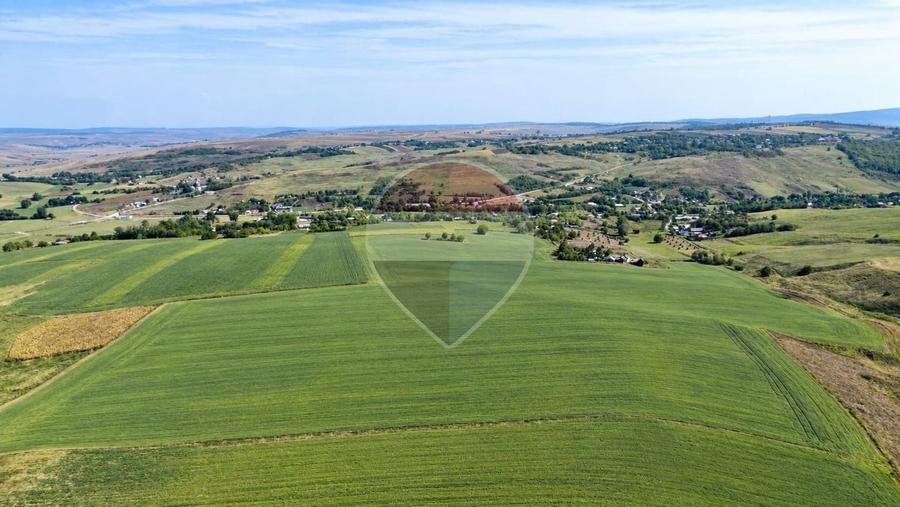 Teren agricol intravilan de 101886 mp, în Buzeni