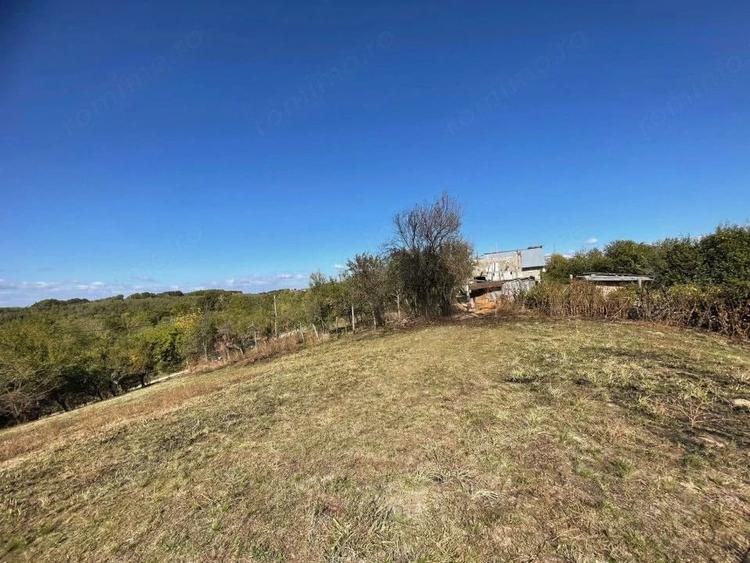 Teren de 5000 mp, în Băbana