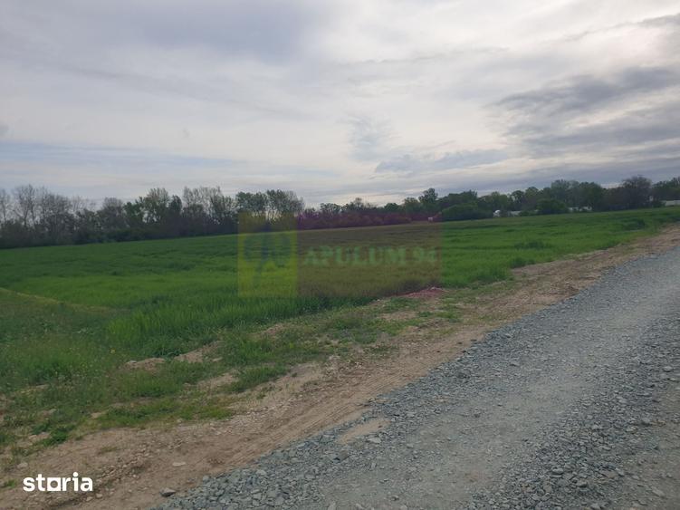 Teren ideal dezvoltare imobiliara in Magurele strada Atmosferei - 8