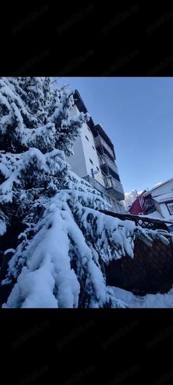 Casă cu 15 camere cu Teren 105 Mp în Central