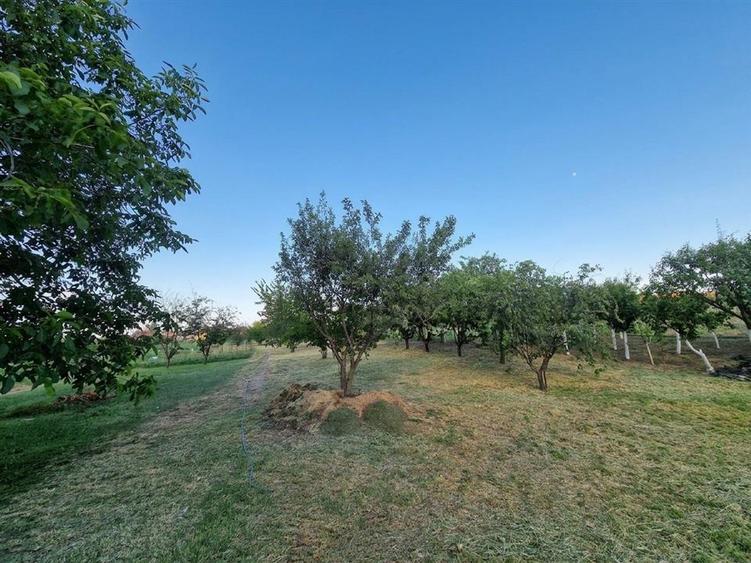 Casă cu 4 camere cu Teren 2700 Mp în Girișu de Criș