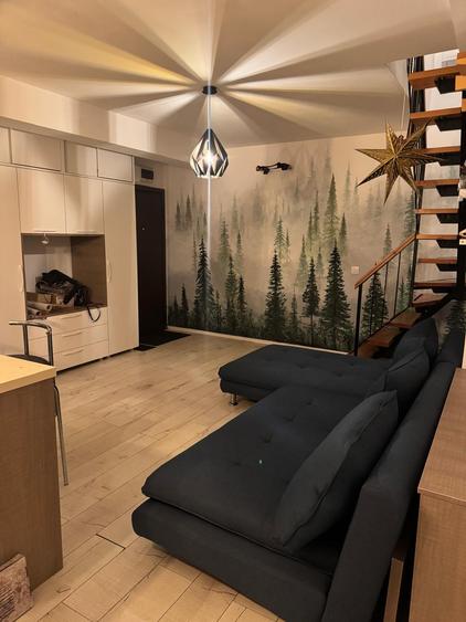 Apartament de 2 camere de vanzare, zona Brancoveanu - 13