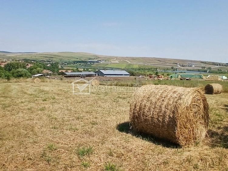 Casa in Comsesti cu teren intravilan 1800mp, acces bun - 1