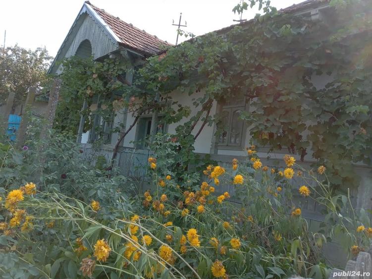 Casă cu 3 camere în Rebricea