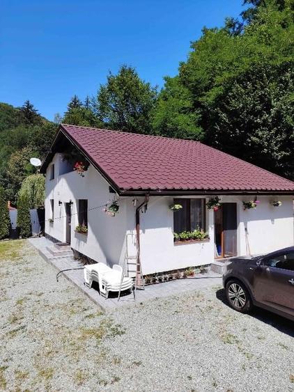 Casă individuală cu 4 camere cu Canalizare în Întregalde