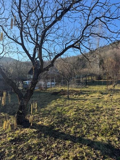 Casă individuală cu 4 camere cu Canalizare în Firiza