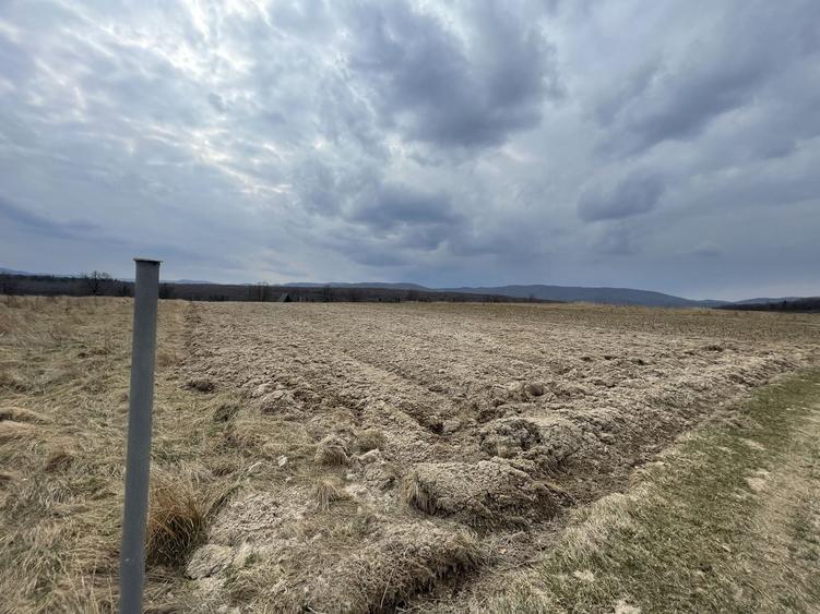 Teren agricol extravilan de 2300 mp, în Horodnic de Sus
