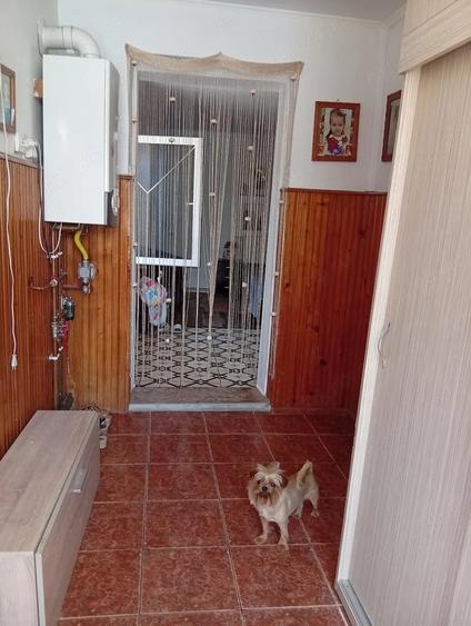 Casa singur in curte 2 camere Dumbraveni - 4