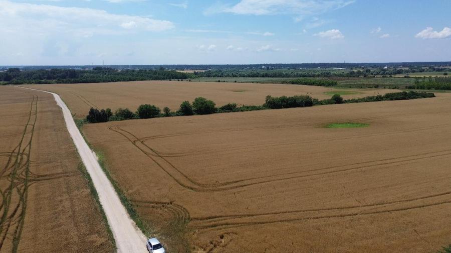 Teren agricol intravilan de 200000 mp, în Ciolpani