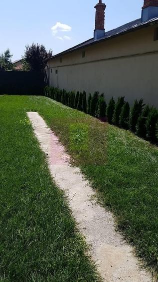 Casă cu 5 camere în Berceni