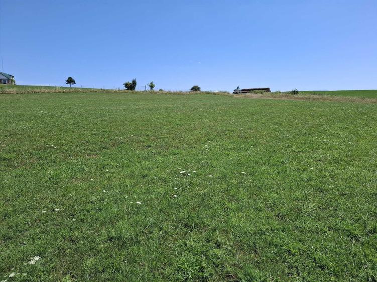 Teren de 3800 mp, în Bungard