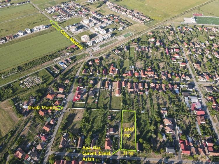 Teren Construcții intravilan de 2840 mp, în Moșnița Nouă