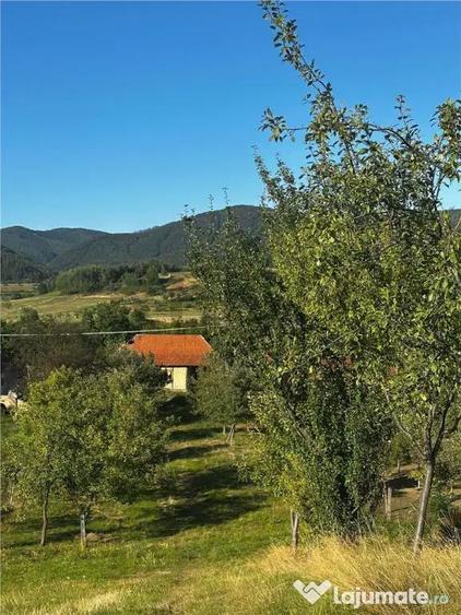 Reco Casa cu teren in Budureasa, langa Stana de Vale - 7