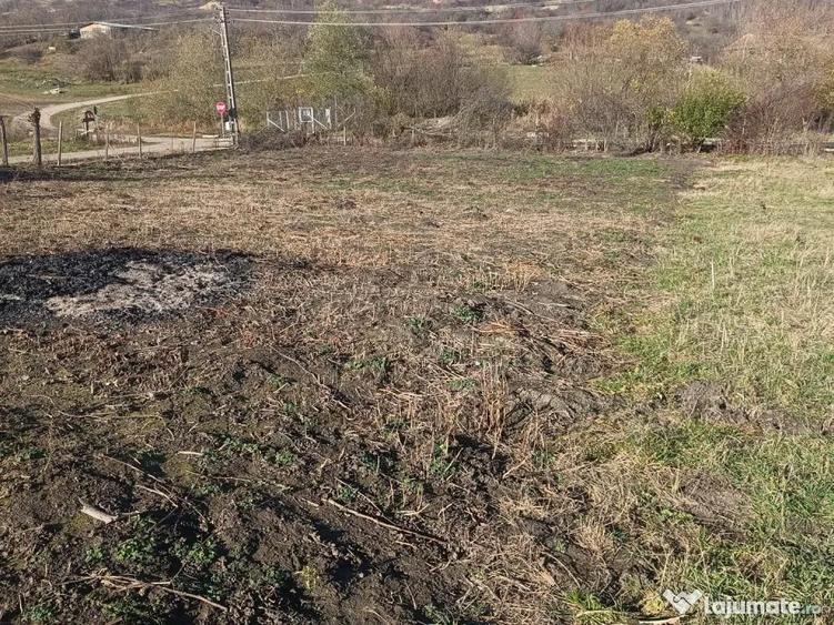 Teren de 800 mp, în Armeni