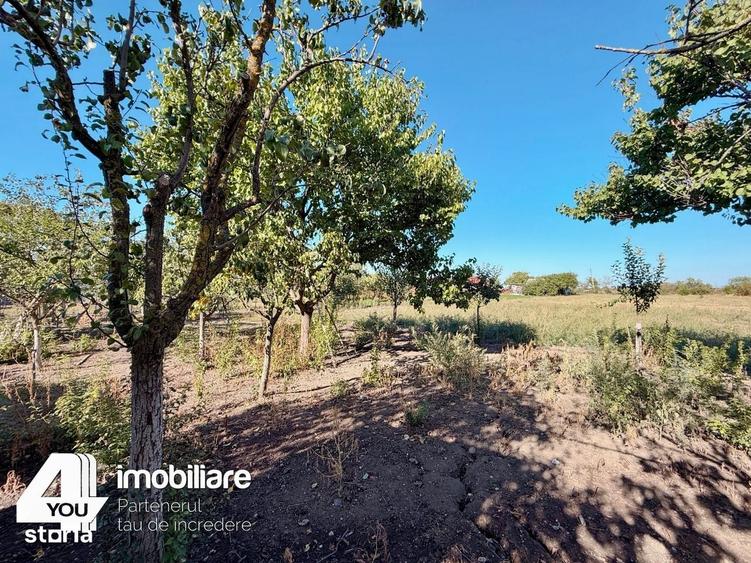 Casă cu 3 camere cu Teren 2880 Mp în Sintea Mare