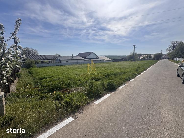 Teren de 1699 mp, în Boroaia