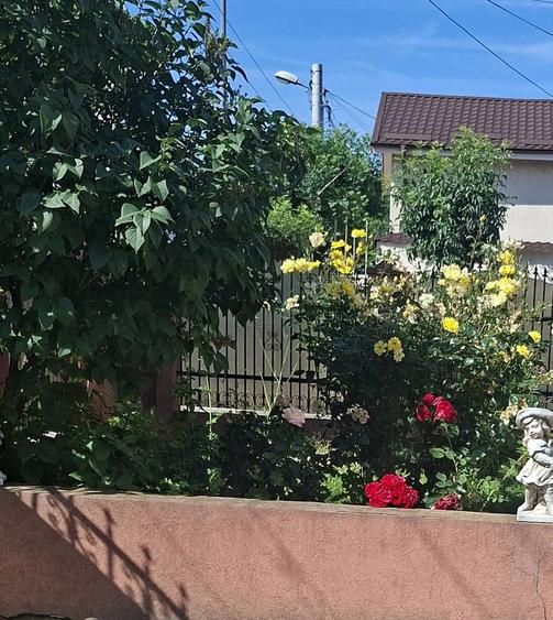 Casă cu Teren 430 Mp în Poșta