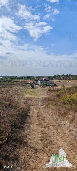Casă cu 7 camere cu Teren 33000 Mp în Militari