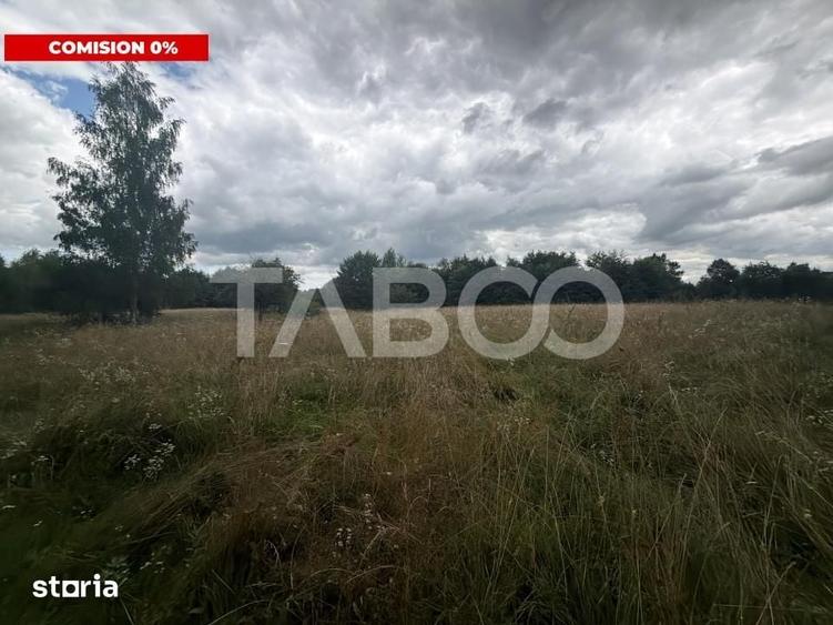 Teren extravilan cu utilitat 6000 mp langa Rau pe Valea Dejaniului - 1