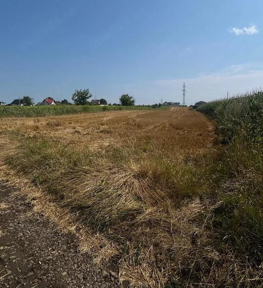 Teren de 420 mp, în Ipotești