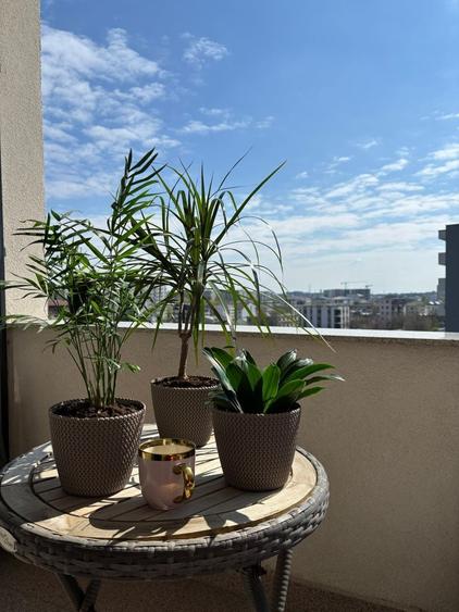 Apartament cu 2 camere semidecomandat în Păcii