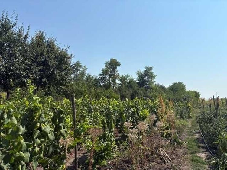 Casă cu 2 camere în Siretu