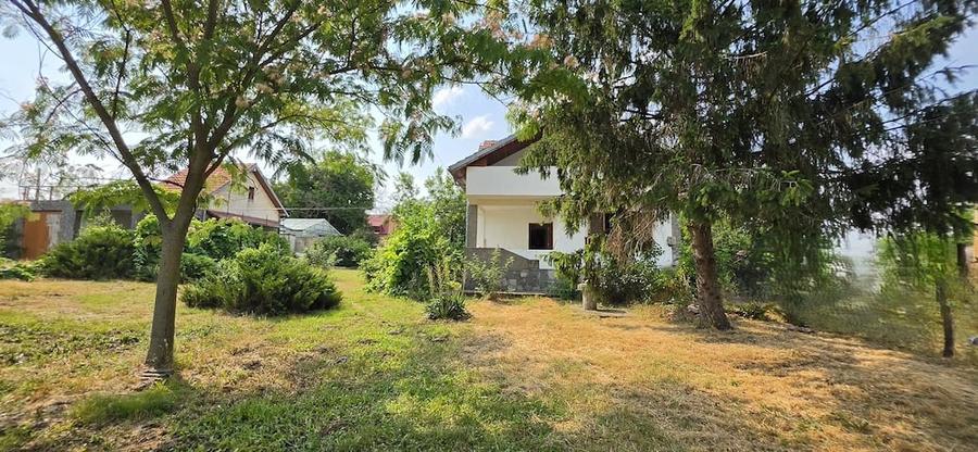 Casă cu Teren 3000 Mp în Dârvari