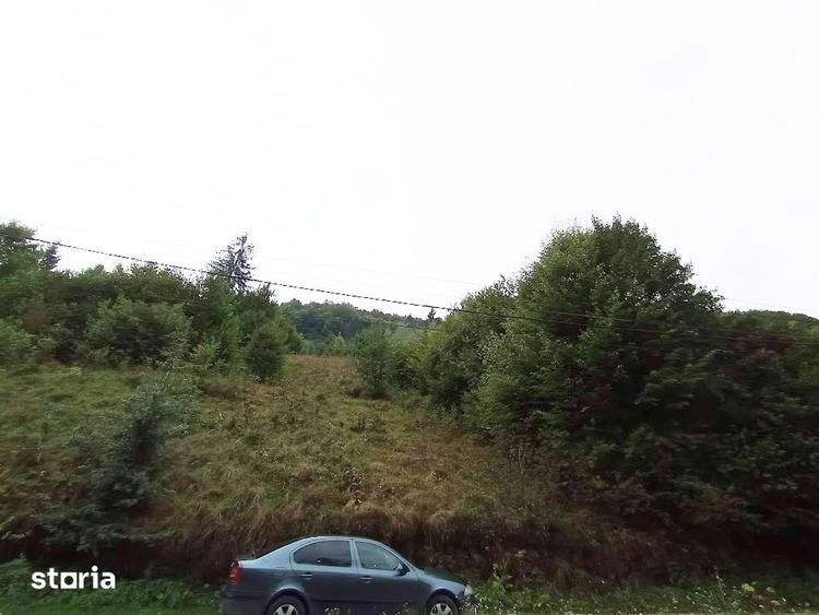 Teren de 32000 mp, în Rusca