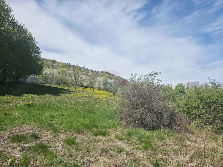 Teren de 1000 mp, în Calea Romanului