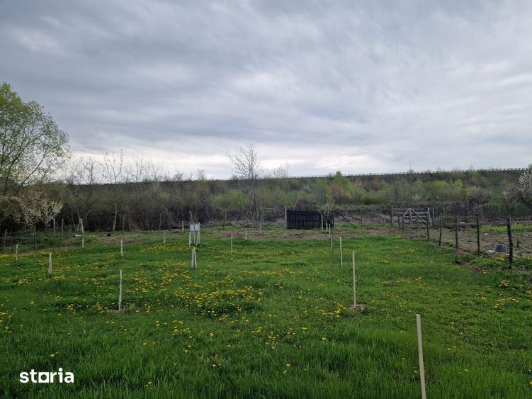 Teren de 1809 mp, în Moțăieni