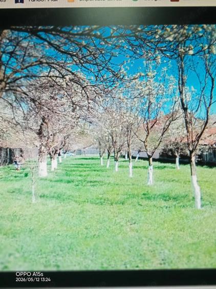 Teren intre case, nu pe camp, intravilan CF. Cu certificat urbanism. - 1