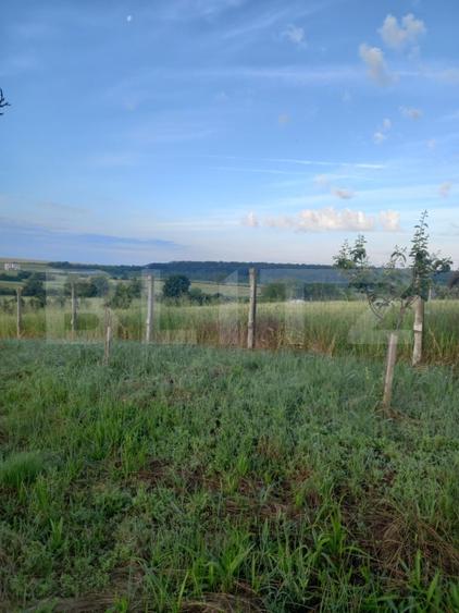 Teren Construcții intravilan de 4447 mp, în Exterior Est
