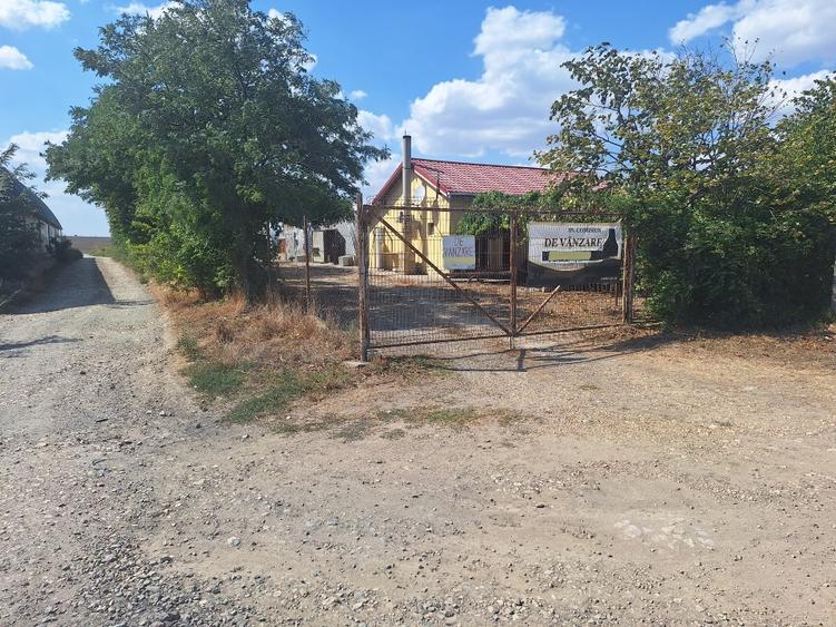Teren agricol intravilan de 10000 mp, în Mihail Kogălniceanu