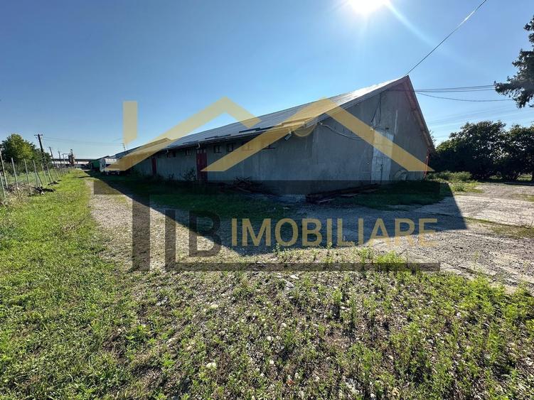 Spațiu industrial, de 1,061 mp, în Dumbrăvioara
